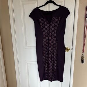 Elegant Purple Lace Dress